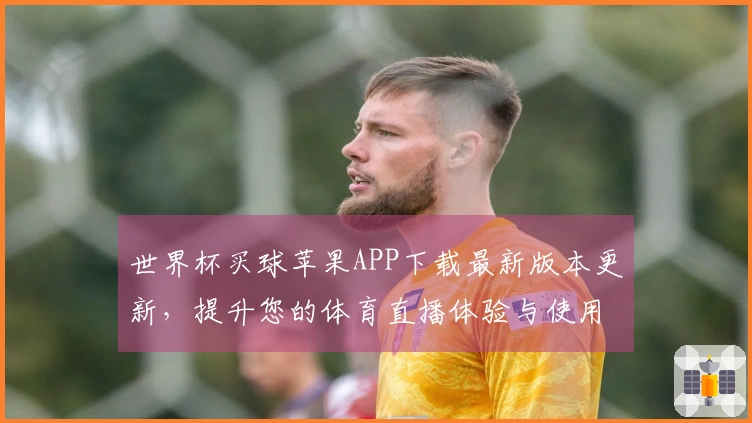 世界杯买球苹果APP下载最新版本更新，提升您的体育直播体验与使用便利性