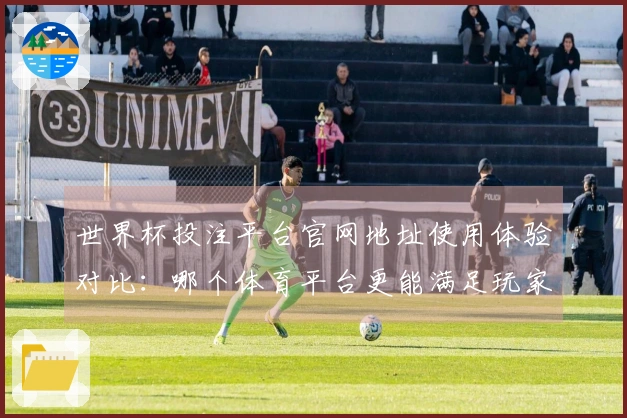 世界杯投注平台官网地址使用体验对比：哪个体育平台更能满足玩家需求？