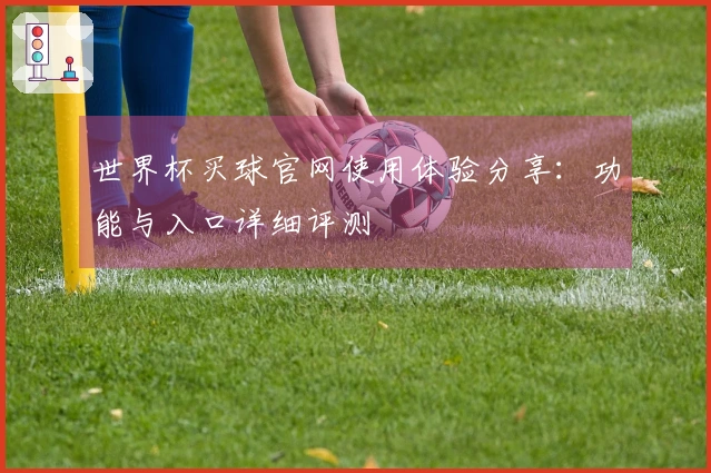 世界杯买球官网使用体验分享：功能与入口详细评测
