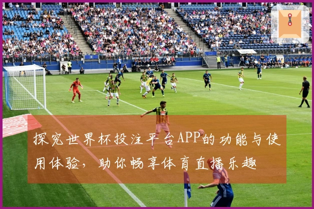 探究世界杯投注平台APP的功能与使用体验，助你畅享体育直播乐趣