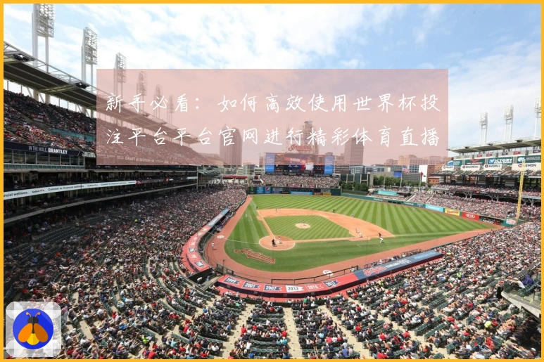 新手必看：如何高效使用世界杯投注平台平台官网进行精彩体育直播