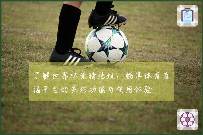 了解世界杯竞猜地址，畅享体育直播平台的多彩功能与使用体验