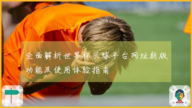 全面解析世界杯买球平台网址新版功能及使用体验指南