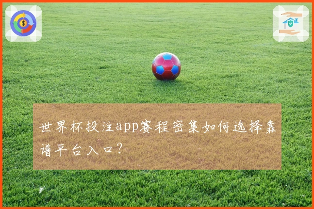 世界杯投注app赛程密集如何选择靠谱平台入口?